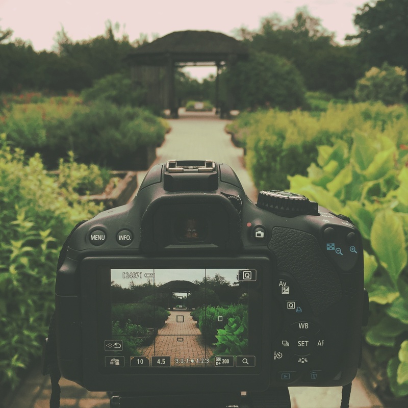 hipstamatic, photographic equipment, taking a picture, focus on foreground, park, digital camera, growth, photographing, green, photo, depth of field, camera