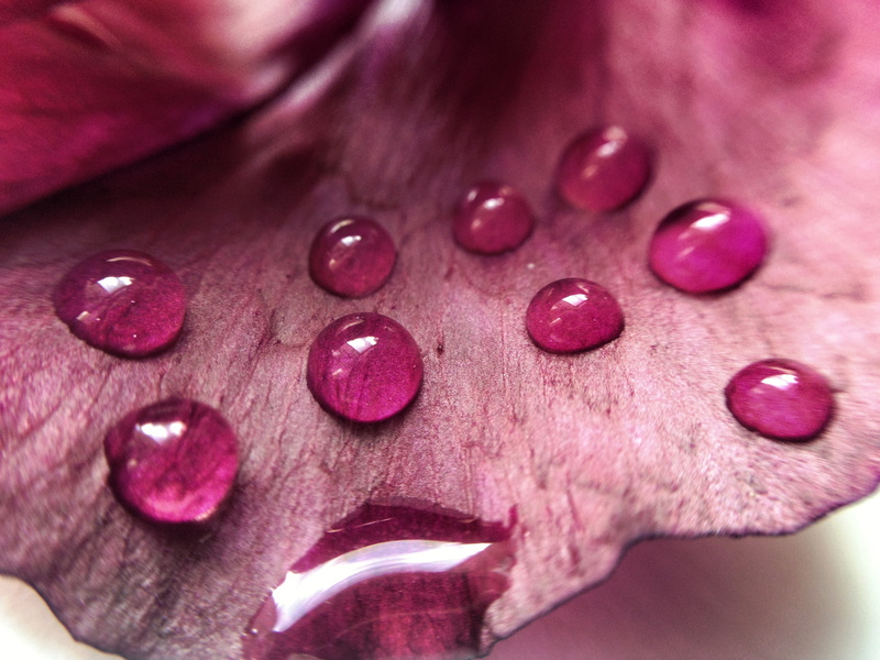 filter, water, photography, amazing, droplets, macro, Iphoneography, 2K, imagination, flickr, close up photography, iPhone, water droplets, close, close-up