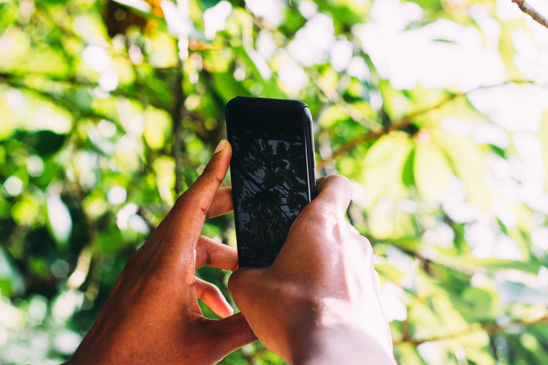 iphone7, leaves, trees, technology, communication, iphoneography, photography, iphone, activity, summer, mobile phone, one person, outdoors, portable information device