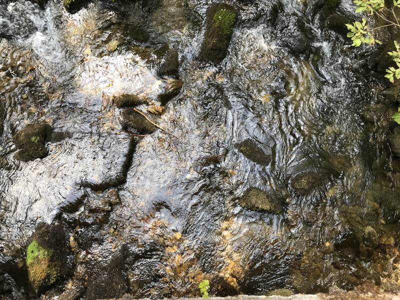 nature backgrounds, creek, river, iphone, tree, trunk, hiking, iphone backgrounds, rock - object, bark, full frame, wave, waves, no people, adventure, day