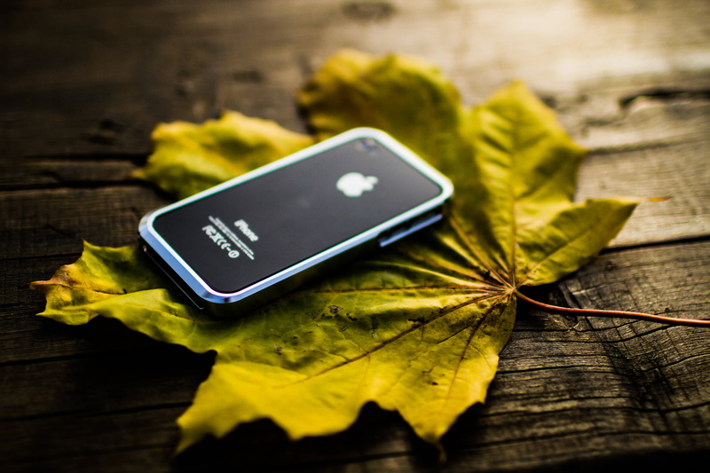 technology, selective focus, still life, food, plant part, yellow, mobile Phone, no People, connection, freshness, black, copy Space, 5K, rustic, green Color