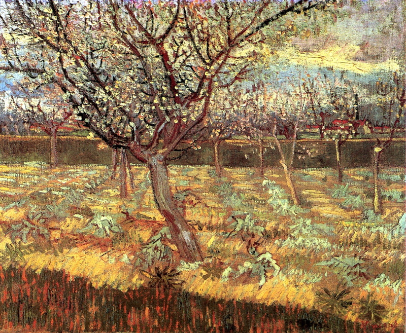 1080P, in Blossom 2, Apricot Trees, Vincent van Gogh