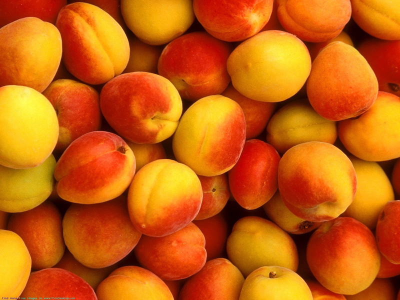 large Group of Objects, apricot, refreshment, no People, citrus Fruit, abundance, orange Color, nature, retail, fruit, gourmet, freshness, healthy Eating