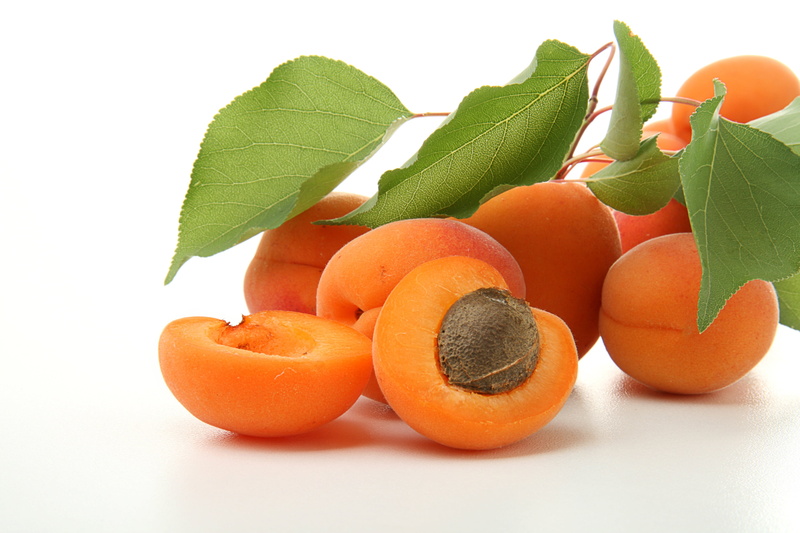 citrus Fruit, cut out, yellow, backgrounds, nature, tangerine, branches, vegetable, healthy Eating, orange, vegetarian Food, refreshment, bunch, peach
