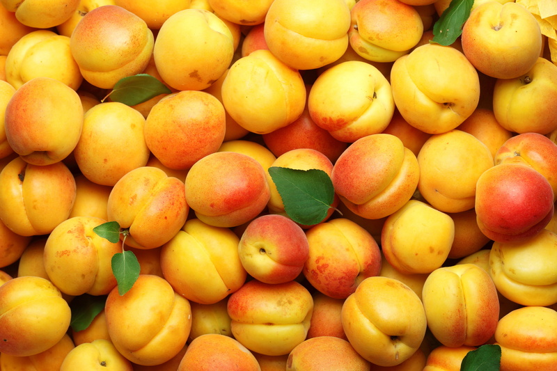 retail display, no people, orange color, food, backgrounds, orange, apricots, wellbeing, healthy eating, yellow, ripe, freshness, food and drink, still life