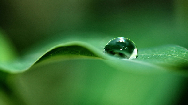 drops, green color, drop, natural, condensation, refraction, wet, extreme close-up, rain, garden, water, droplets, 1080P, life, leaf, reflection, flora