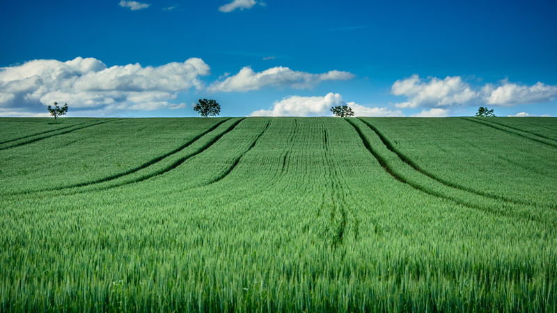 land, meadow, blue sky, Switzerland, summer, agriculture, outdoors, nature, cloudy, green, boarder, France, plant, blue, rural Scene, landscapes, grass