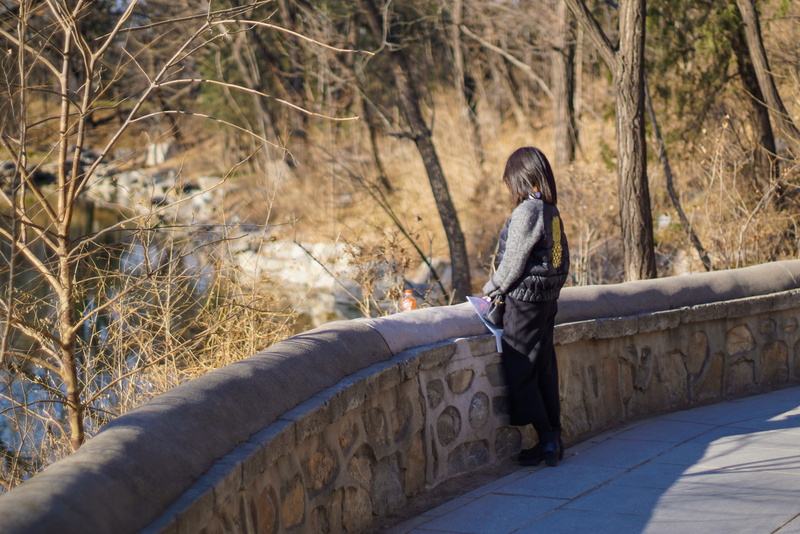 real people, standing, adult, one person, full length, tree, nature, warm clothing, 5K, outdoors, lifestyles, winter, plant, women, china, clothing, leisure activity