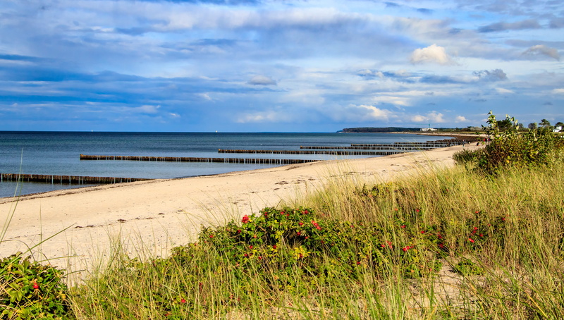 dune, beach, tranquility, marram grass, cloud - sky, sky, horizon, tranquil scene, horizon over water, beauty in nature, growth, grass, day, 5K, heiligendamm