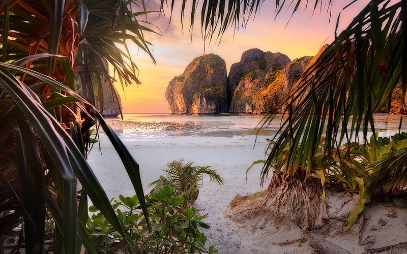 horizon over water, tranquil scene, island, 480P, Philippines, sunset, tree, leaves, outdoors, palm tree, shrubs, beach, beauty in nature, tranquility