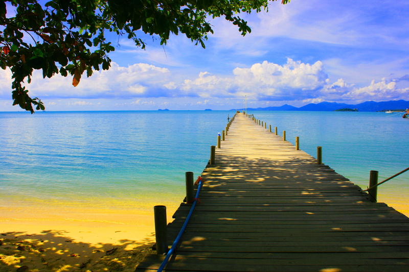 sky, platform, deck, daytime, scenics - nature, horizon, plank, outdoor, plant, tree, outdoors, 4K, decking, water, beauty in nature, across, pier, travel