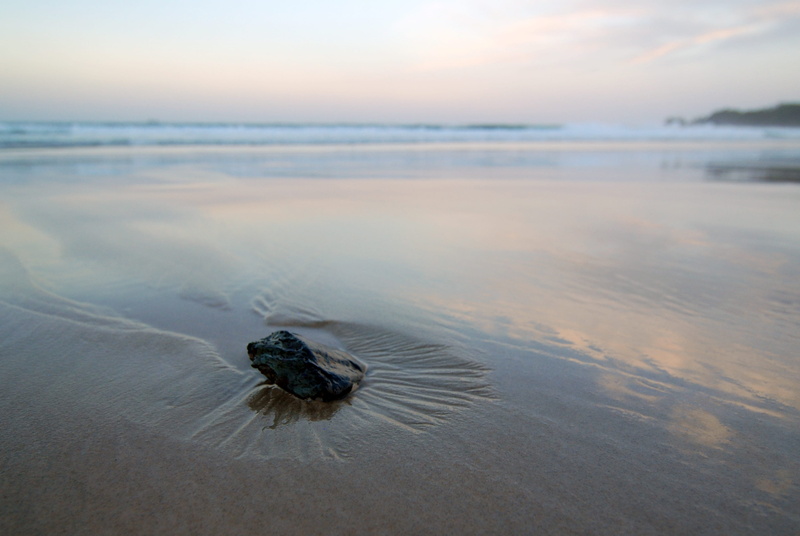 animal, sky, day, one animal, rock, byron bay, beach, 4K, animal wildlife, tranquility, beauty in nature, ocean, no people, sea, animal themes, horizon over water