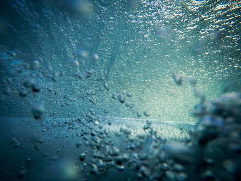 wild, winter, cold temperature, glass, taken, raindrop, drop, close-up, wet, glass - material, outdoors, selective focus, full frame, nature, splash, rain