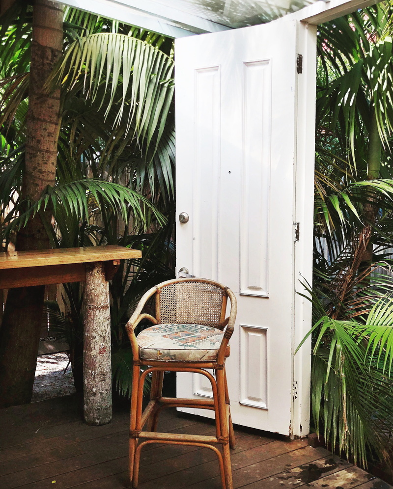 no people, nature, australia, built structure, potted plant, furniture, leaf, outdoors, growth, seat, green color, plant, empty, wood, tree, byron bay