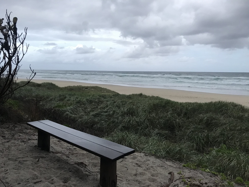 non-urban scene, sandpiper track, 4K, sea, day, water, cloud - sky, scenics - nature, horizon over water, beauty in nature, tranquil scene, beach, seat