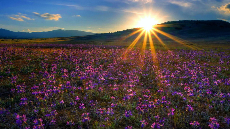 sunshine, 3d and abstract, 1080P, california, grassland, plain, sunburst, carrizo, beautiful, rays, light
