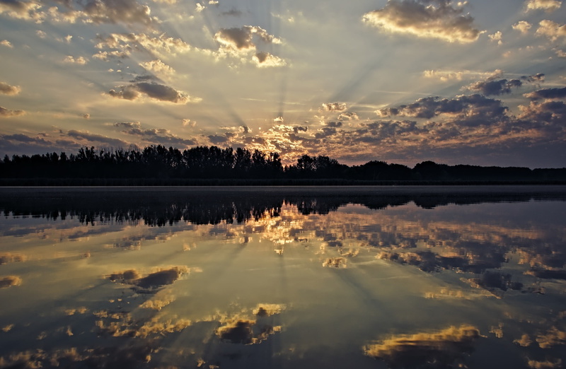 tree, Sunrise, reflection lake, beauty in nature, sunset, outdoors, scenics - nature, cloud - sky, Nature, no people, non-urban scene, Reflection, Sun and Sky