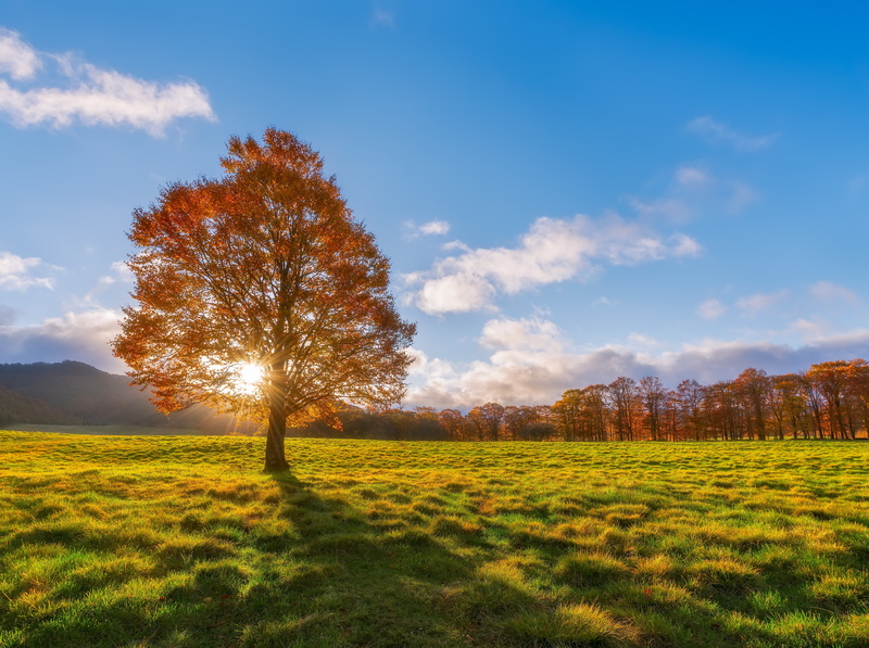 no people, Sunrays, plant, orange, day, cloud - sky, Landscape, green color, takkomachi, scenics - nature, sannohedistrict, Clouds, Autumn, Grass, Seasons