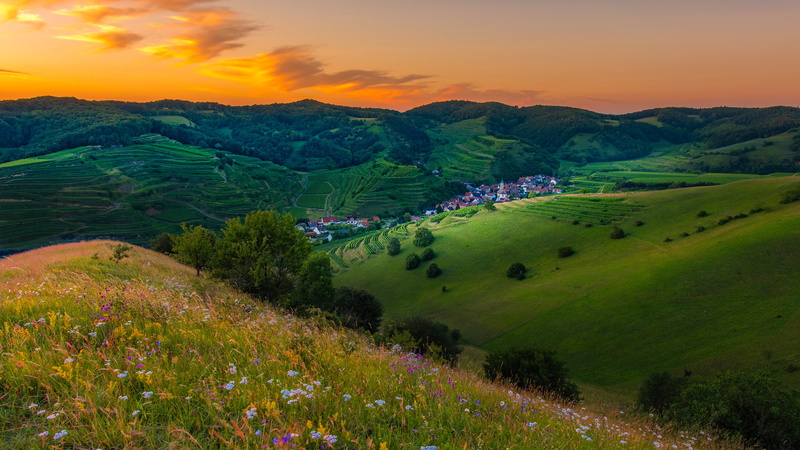 nature, hills, landscape, 4K, flowers