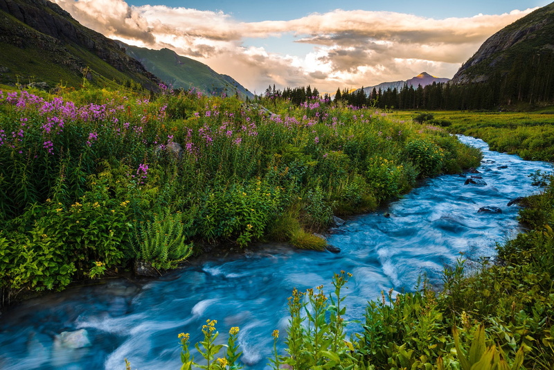nature, sky, beauty in nature, plant, tranquil scene, 1080P, tranquility, no people, cloud - sky, forest, scenics - nature, non-urban scene, day, Colorado