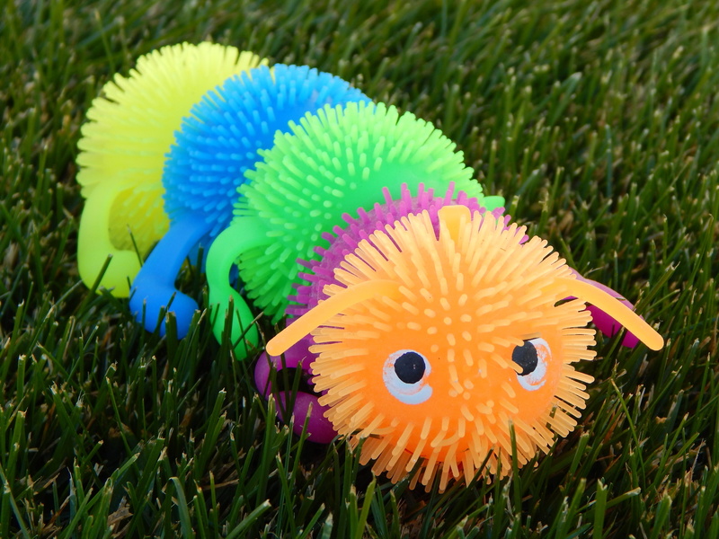 day, one animal, focus on foreground, animal, bird, close-up, Toy, rubber, centipede, 4K, animal representation, bug, nature, animal wildlife, flower