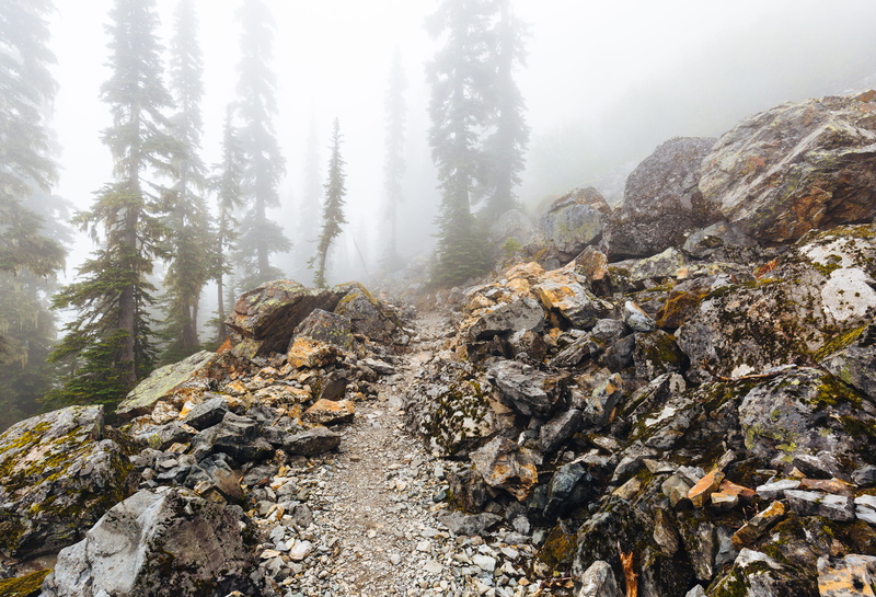 hiking, plant, 5K, underneath, path, trek, outdoors, mountain, fogs, woodland, tranquil scene, rock - object, forest, tree, landscape, pnw, solid, pacific northwest