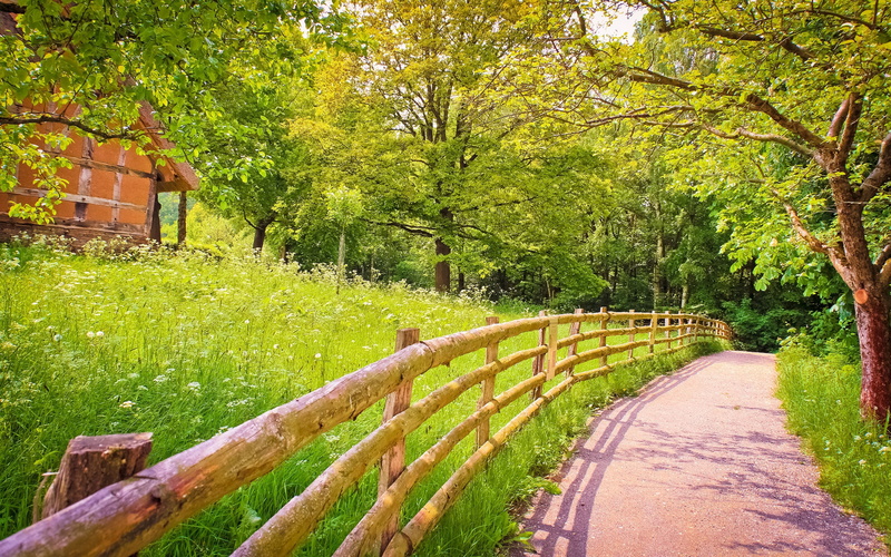 house, desktop, road, wooden, trees, nature, 4K, fence, green, weekend, summer, meadow, grass, hd