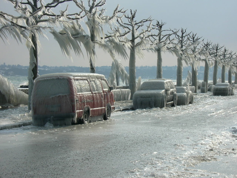 vehicle, field, cold temperature, day, car, frozen, Switzerland, mode of transportation, outdoors, winter, trees, sky, plant, tree, ice, 720P, snow, in a row
