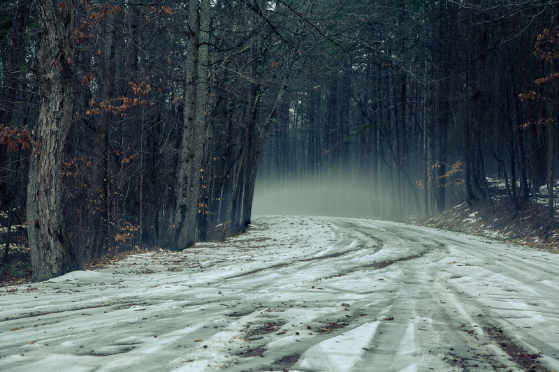 scenics - nature, the way forward, tree, 1080P, white, board, forest, snowing, outdoors, trees, plant, snow, ice, nature, flowing water, wooden, winter