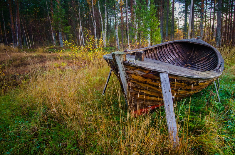 4K, field, nature, boat, wooden, wood - Material, grass field, green grass, outdoors, forest, tree, cool, brown, green, grass, hailuoto, oulu, uncool
