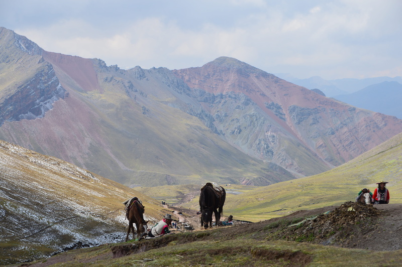 group of animals, pets, grass, inca, horse, domestic animals, atmosphere, domestic, mammal, scene, people, beauty in nature, tranquil scene, hiking, view