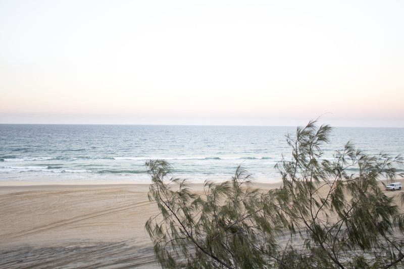 tree, beauty in nature, ocean, sky, surf, outdoors, horizon over water, copy space, no people, noosa heads, non-urban scene, summer, sunset, water, tranquil scene