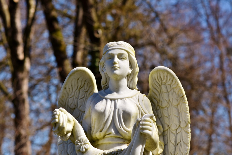 human representation, outdoors, idol, no people, focus, mourning, decoration, little angel, christianity, cemetery, angel, focus on foreground, angel face