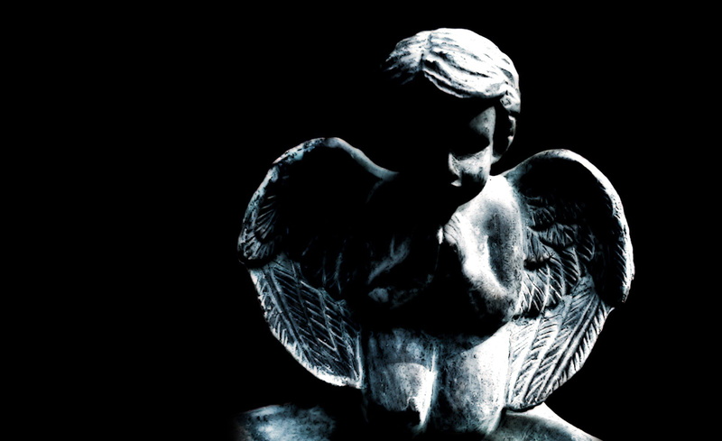 Angel, animal head, studio shot, indoors, Stone, black background, art and craft, vertebrate, domestic, Little, close-up, 1080P, one animal, digital composite