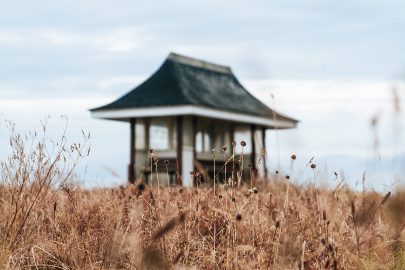 sky, 8K, clouds, field, england, flowe, grass, flower, outdoors plant, cabin, building exterior, paolo nicolello, cloud, day, building, plant, tranquil scene