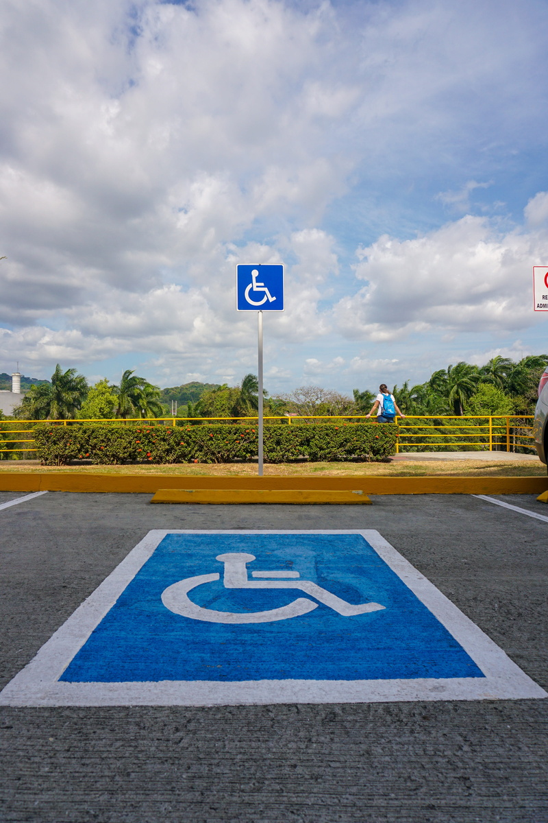 disabled, the disease, tree, information sign, disabled sign, cloud - sky, no people, differing abilities, information, sky, road sign, plant, communication