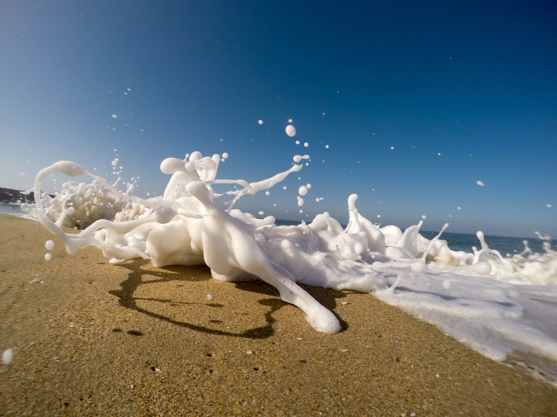 animal wildlife, sky, white color, white, animal themes, cold temperature, 4K, no people, sand, land, small, snow, animal, sea, splashing, water, winter