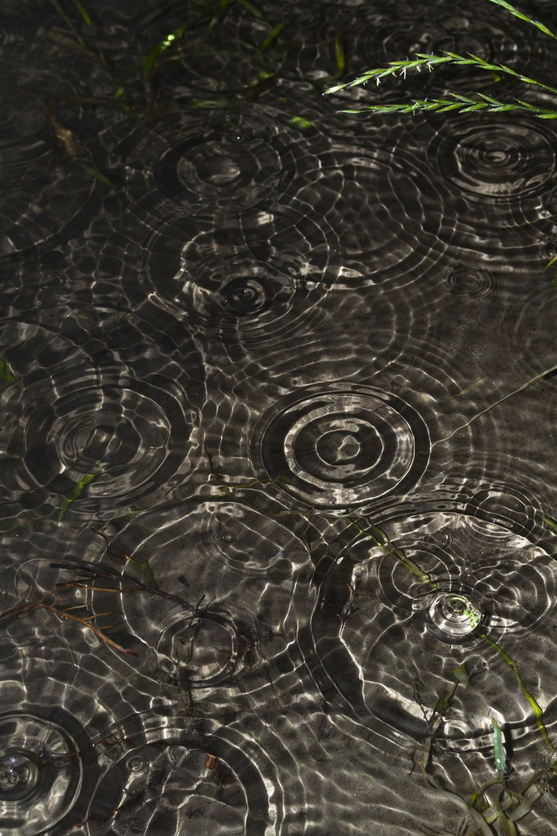 textured, concentric, the excitement, beauty in nature, impact, drop, pattern, outdoors, motion, water, small river, rain, wave, splashing, high angle view