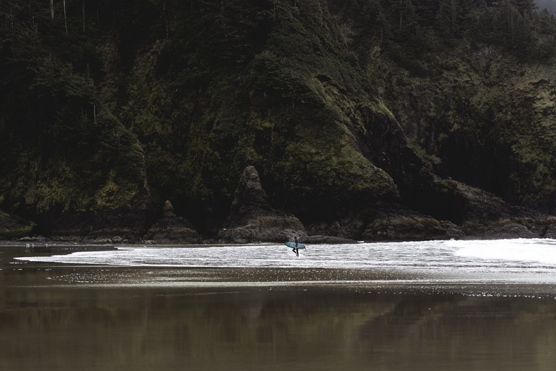 green, surfer, small, west coast, forest, beach, landscape, tree, large, scenics - nature, tranquil scene, moody, unrecognizable person, near