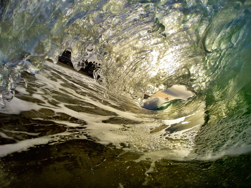 one animal, water, nature, day, beauty in nature, vertebrate, rock, small, shore, animals in the wild, waterfront, 4K, lifestyles, wave, people, rock - object