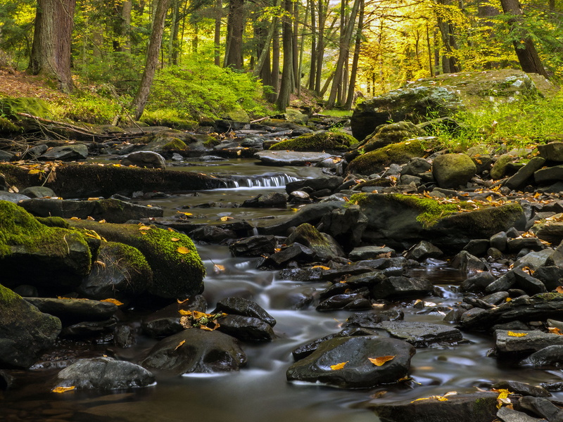 delaware township, dingmans creek, creek, stone, land, flowing, long exposure, natural, site, flowing water, recreation, beauty in nature, downloading