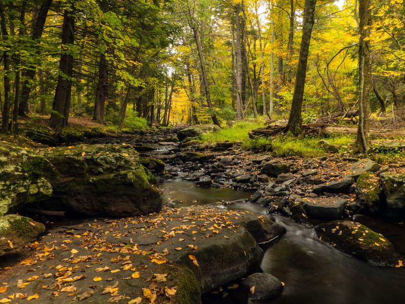 change, autumn, delaware township, nature, childs, george w childs recreation site, waterfall images, pa, 2K, beauty, images of waterfalls, growth, natural