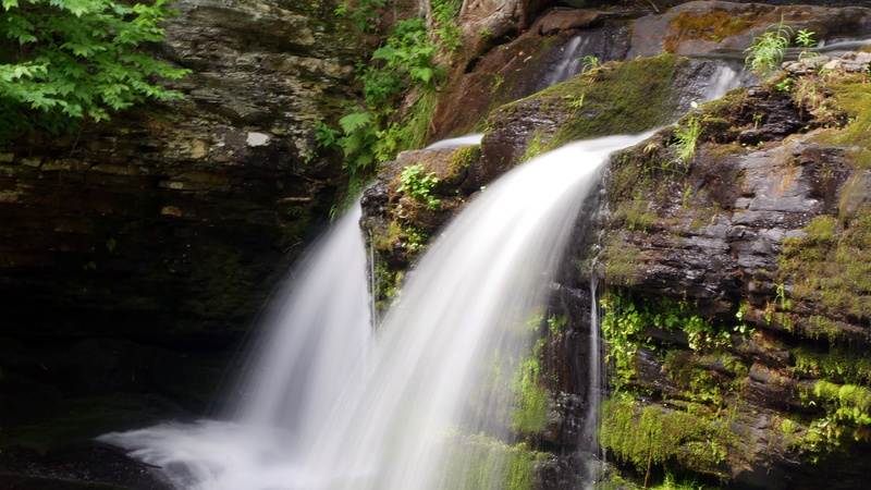 fulmer, outdoors, george w childs recreation site, site, fall colors, long exposure, fulmer falls, dingmans, high, delaware water gap, tree, stream flow