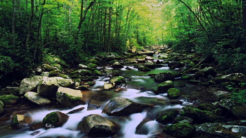 shutter, slow, moss, forest, carolina, rocks, rivers, 1080P, north, park, speed, national