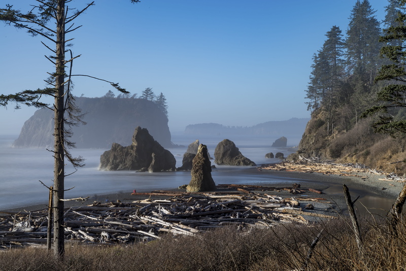 island, day, ruby beach, wave, mountain, seascape, nature, beach, pacific coastline, coast, beside, rocks, tranquil scene, snow, sea, land, bluff, tide