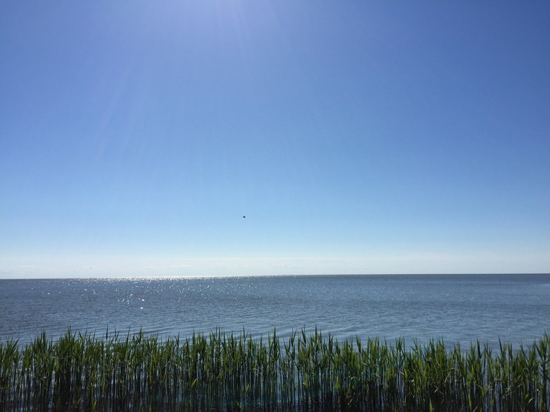 2K, beauty in nature, relax, water, sojourn, marram grass, sunny, distance, nida, relaxing, sunscreen, ocean, blue, tranquil scene, land, sun, copy space