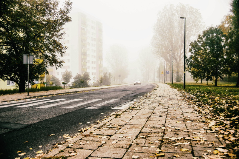 city, fog, long, no people, sky, morning, autumn, the pedestrian area, building exterior, surface level, the way forward, treelined, plant, view, transport