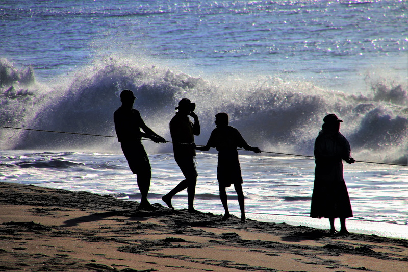 surfing, sand, work, the fisherman, beauty in nature, women, people, men, in the morning, silhouette, standing, land, male, traffic, lifestyles, the person
