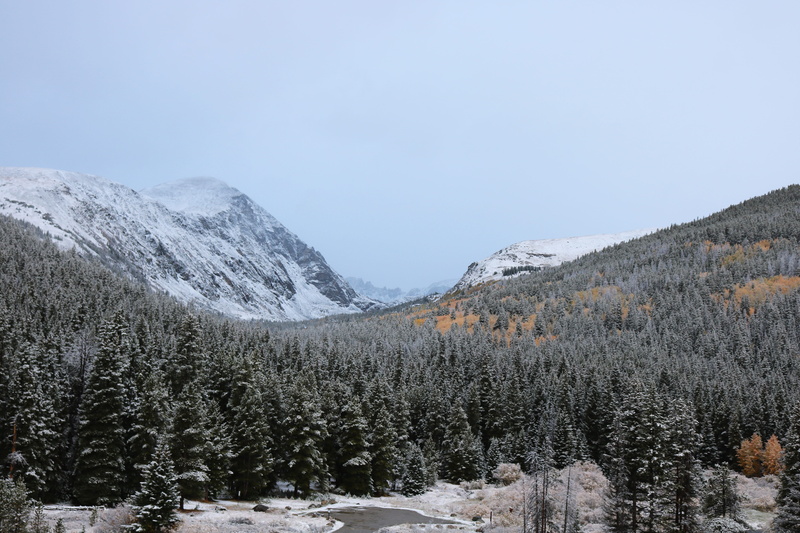 season, vacation, mountain, mountain range, outdoor, pine tree, pine woodland, peak, snowy mountains, 5K, snow, plant, coniferous tree, ski, white, land
