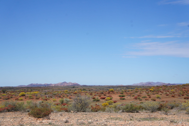 non-urban scene, landscape, 4K, outdoors, day, climate, travel destinations, outback, desert, nature, tranquility, arid climate, scenic, environment, copy space